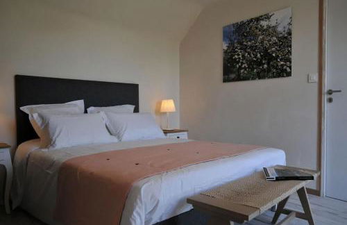 La boucaliniere - Photo 21