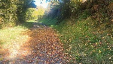 Charmante maison au coeur d'un village auvergnat - Foto 4