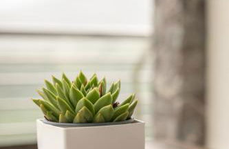 Belabieta - baskeyrentals - Foto 23