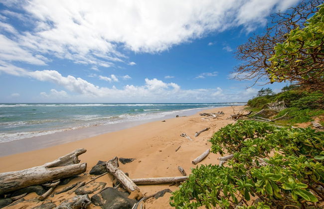 Kauai Kaha Lani by Coldwell Banker Island Vacations - Foto 28
