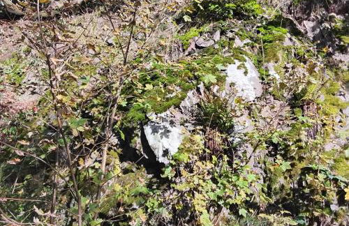 Hochwald chalet - Photo 37