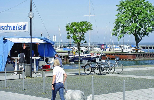 Ferienwohnung, Ribnitz-damgarten - Foto 12