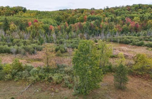 Family Home in Rapid City about 4 Mi to Torch Lake! - Foto 28