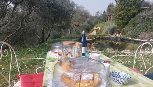 L'Aquila e L'Ulivo - Foto 2