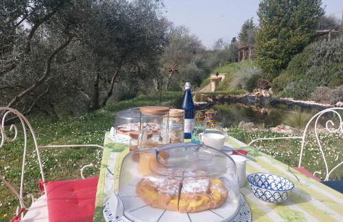 L'Aquila e L'Ulivo - Foto 2