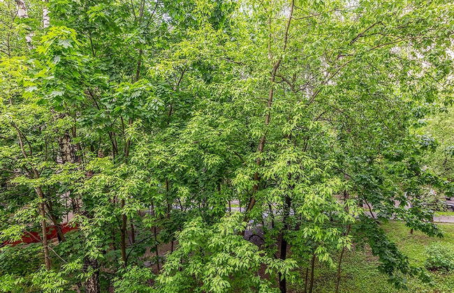 Apartment Hanaka Shumilova 8 - Foto 12