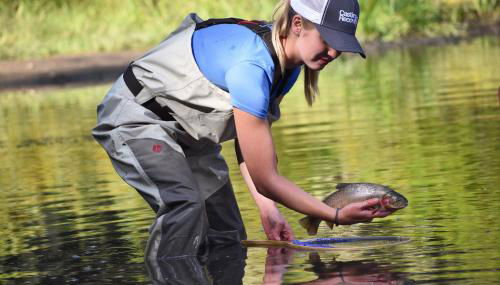 Remington Reload by KABINO Hot Tub FirePit Roku Big Yard Driveway Grill WiFi Trails - Foto 4