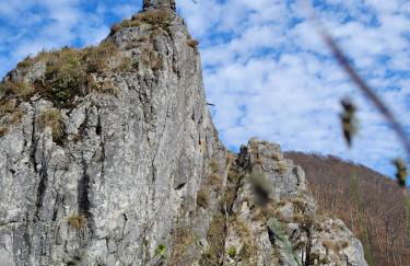 Haus Am Beckerberg im Harz - Foto 42