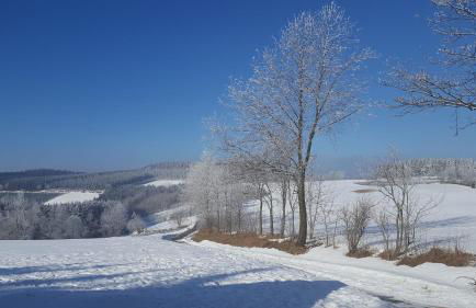 Ferienhaus Bergidylle - Photo 42