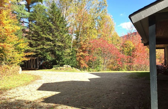 Secluded 6 Acre Property near Mountain Road - Foto 26