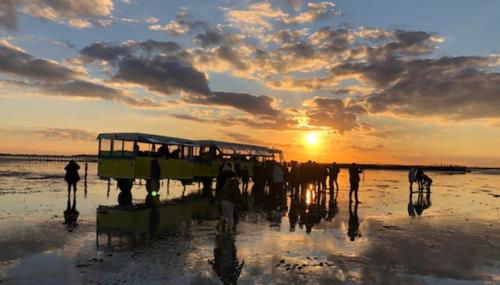 Gites des Sablons - Photo 4