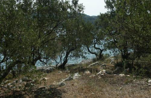 Secluded fisherman's cottage Krknata, Dugi otok - 888 - Foto 7