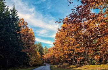 Skrawek Nieba Mostki - Foto 17