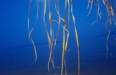 villa Rodo - Foto 14