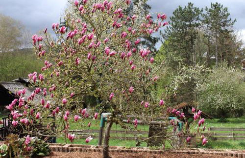 Fewo in Weierbach bei Idar-Oberstein - Foto 38