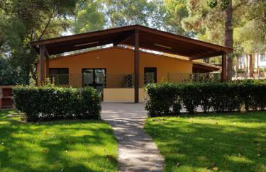 Villaggio Camping Golfo di Arzachena - Foto 52