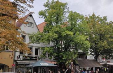 Komfort-Apartment in Friedberg nahe Frankfurt & Bad Nauheim, Balkon, Parkplatz - Foto 18