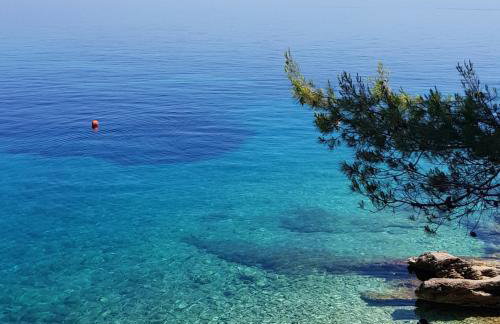 Apartment GALA -Korcula/Prigradica - Foto 38