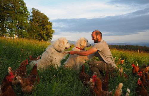 Zimis Hofnest - Foto 12