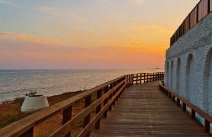 Residencial Algaida - Photo 10