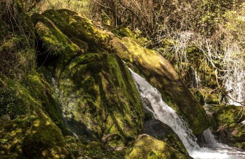 Vivienda turística La Magdalena - Photo 27