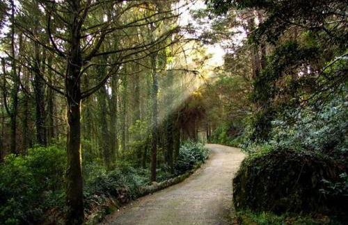 CasAzulApartments - Foto 44