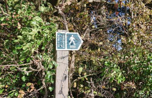 Poppy Cottage - Photo 35