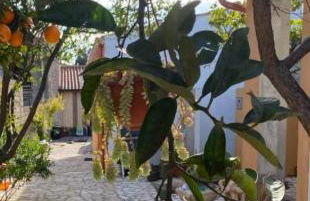 La Casetta - Foto 26