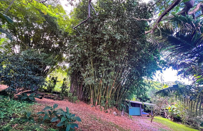 Gingerhill Farm Retreat - Foto 54