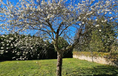 Gîte du Magnolia - Photo 36