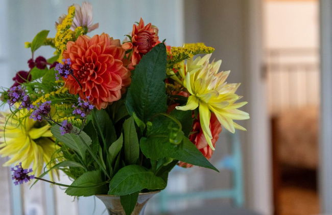 1 bedroom House in Färgelanda with garden - Photo 17