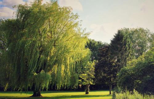 Cosy One Bed Barn Conversion Donington Park East Midlands Airport - Foto 22