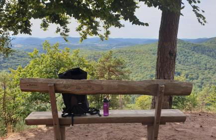 Ferienhaus am Gässchen - Foto 48