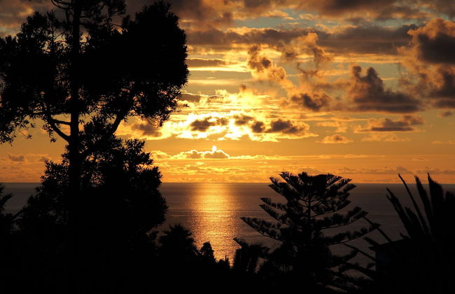 Caniço Bay Club - Foto 33