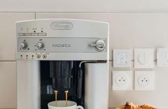 ECUREUIL - Charme et Standing à Saint Galmier - Foto 6