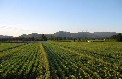 Appartement 1 - Foto 11