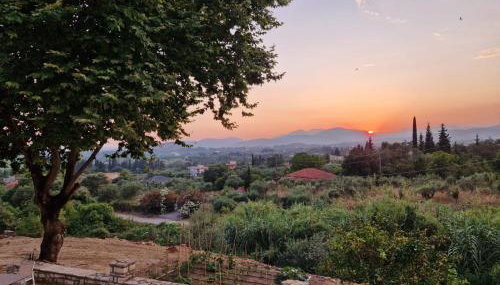 Skoza farm house - Foto 1, Garden