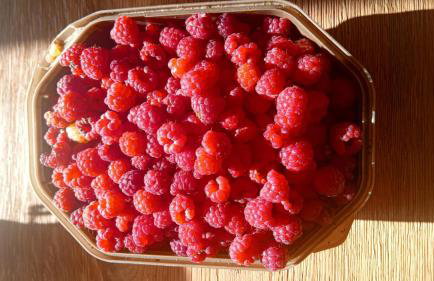 Domek nad jeziorem Strykowskim - Foto 40