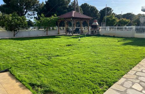 Ourania Apartments - Photo 9