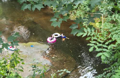 The Old Mill Cottage - Foto 60