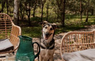 Charszówka - Foto 7