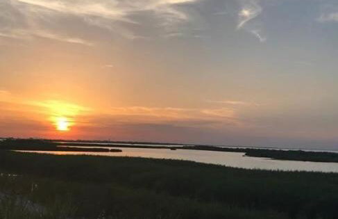 Agriturismo Ca' Pisani - Foto 21