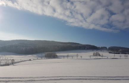 Ferienwohnung Flöhatalblick - Foto 33