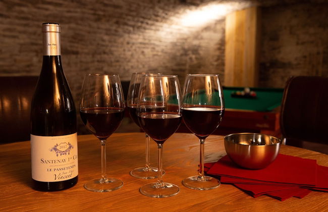 Les Sarments ***** - Beaune - Foto 24