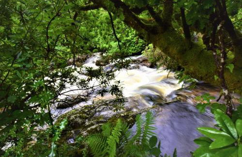 3 Bed in Glenfinnan oc-cabin - Foto 10