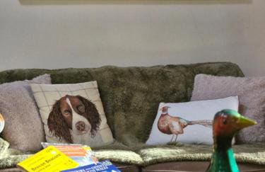 Y Bwthyn at The Old Water Mill on the very edge of Snowdonia - Foto 14