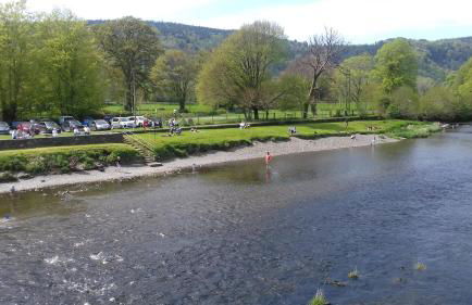 Eagles View - Photo 39