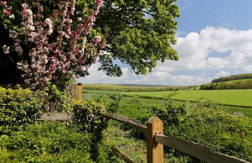 Charming Cottage for 10 in Heart of South Downs - Foto 94