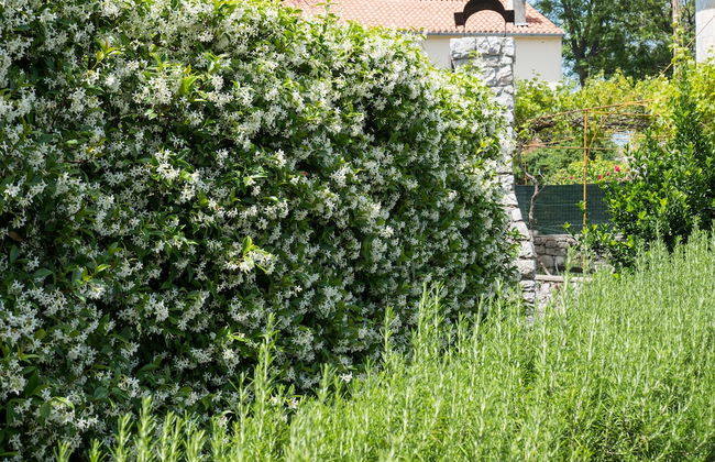 Unique Antistress Oasis Villa Antiqua - Foto 48