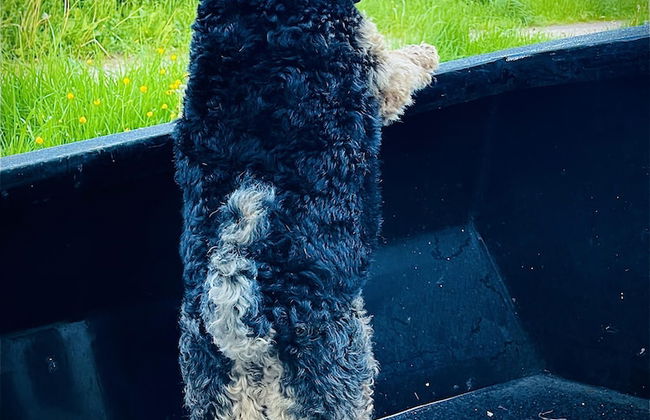 Boutique Boat Stays Contemporary Barge - Foto 15